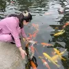 huong.nguyen3350