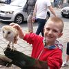 dominicwalker97