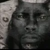 newcatspeciesahh