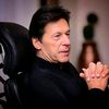 tigerpti331