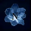nina.bourceaux10