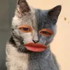 chiudey.olala
