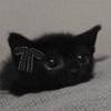 gabyloves_cats1