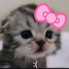 qazxswedcmom