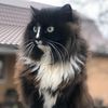 aneri_7_