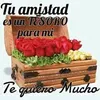 younas.1236