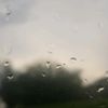 barcodey_01