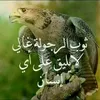 user5406174525008