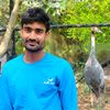 rohitsingh984455