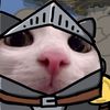 soulcat14