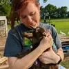 freshfromthehartfarm