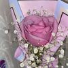 marleen_glz