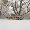 creatureracing