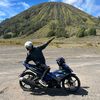 kiwildan_44