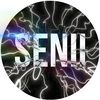 senii.rp.2