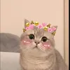 ngoc_ligg