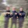 dv_matteo10
