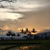 muhamad_fadil.0