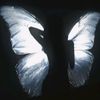riha__bhuiyan