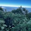 revan_aditia_pranata629