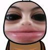 userdlv431shap