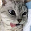 una_hana12