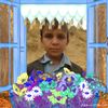 user7202463919433