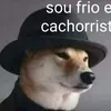 gilbertotv3