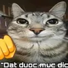 fifailafso2lqso1