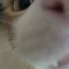 miahthegr8