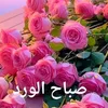 omsabir123