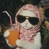 danasaur.alh.5