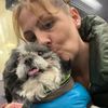 ash_princeshihtzu4