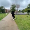 dolo_244