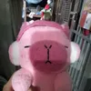 bao146997