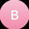 b_bi.3
