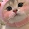 fairlyy.ungee