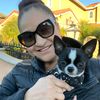 chihuahuapuppies33