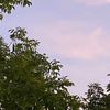 justacreatr