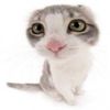 kiara_bouthsarath