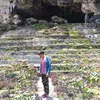 jais_putra