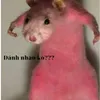 userezwtj05ohr