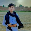 user8381014327675