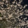 mi_ko_1027
