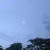 mushi_416