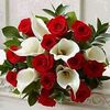 achour.univblida