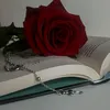 hdooa2789