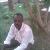 alnoorzain