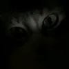 vybinnie_10
