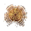non_lo_sop